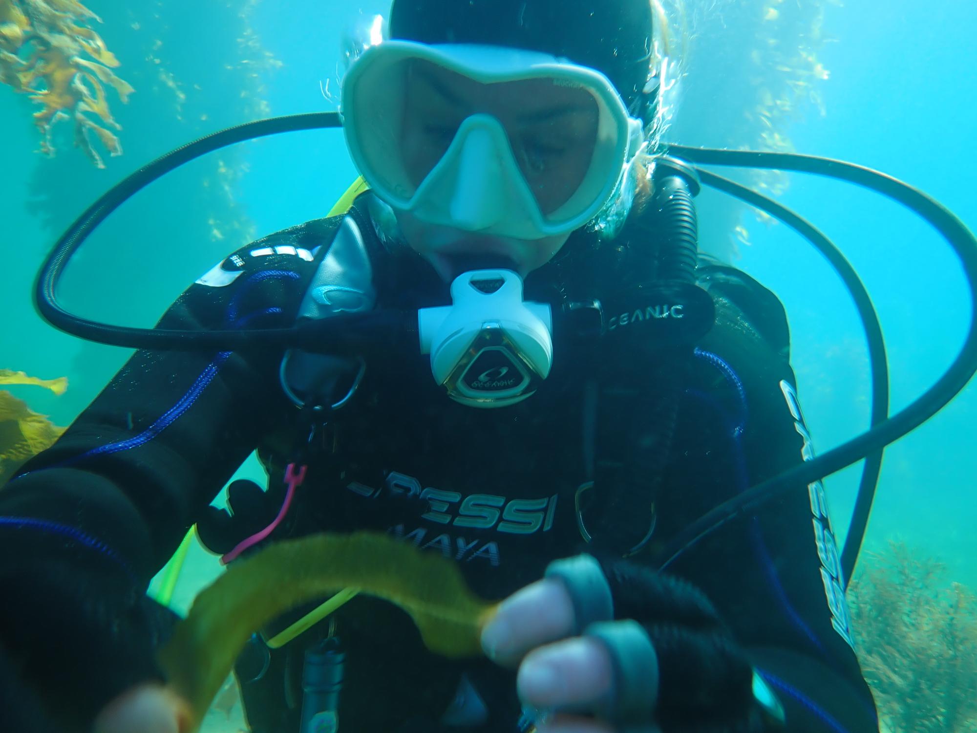 Diving for a Difference: 1,000+ Invasive Species Removed from Port Phillip Bay